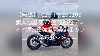 【無碼】FC2-PPV 261108 素人動畫 第77號 超超超プレミア過去最強爆乳美乳Ｉカップの最強ハメ