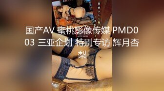 国产AV 蜜桃影像传媒 PMD003 三亚企划 特别专访 辉月杏梨