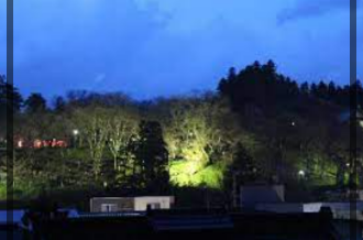 鳥帽子山公園　ライトアップ　夜桜　鳥帽子山八幡宮　エドヒガン　置賜地域　南陽市